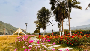 足球场草皮究竟能不能露营？答案在这里揭晓！