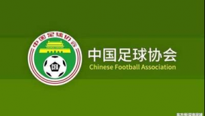 中国注册足球要求高吗？深度剖析其背后的标准与考量