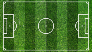 冬季足球场的草能否放水里？探究背后的科学与影响