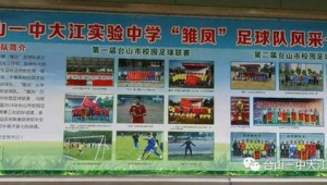 足球专栏有什么用处吗 深度剖析足球专栏的价值与意义