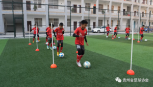 足球球队能否任意创建？背后规则与限制解读