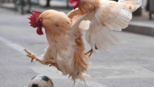 踢足球真能瘦下来吗？解析这项运动与瘦身之间的关联