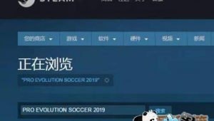 足球场上是否存在有语音相伴的别样画面？