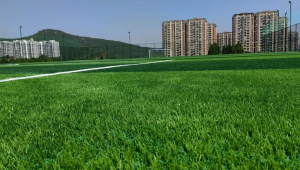 奥体足球场可以进吗?揭秘其开放规则与进入条件