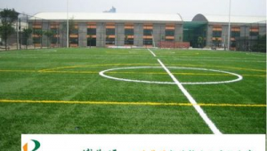 平果足球场建设年份揭秘：究竟是哪一年拔地而起？