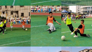 足球之乐：快乐源于传球？是与否的探寻与思索