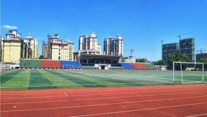 六安去哪踢足球最好看，畅享绿茵激情绽放精彩瞬间