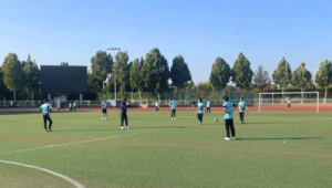 职业球员足球气打得足吗?背后的真相与思考