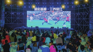 足球转播时观众数量真的比平时少吗？探讨背后真相