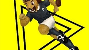 十二生肖中女生玩足球，看各属相适配度如何？