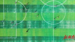 足球跳水有段位要求吗