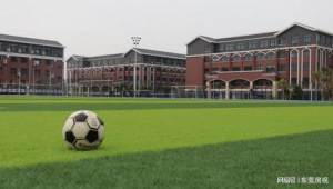 东莞有室内足球场吗