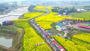 岳池县哪卖足球鞋好些呢，快来看看这些热门选购好去处