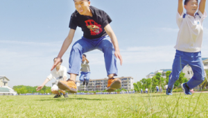 东港足球场免费吗？一文带你揭晓答案