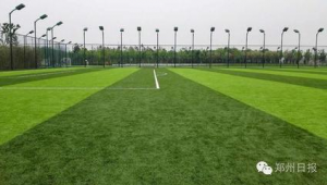 郑州东区足球场免费开放吗?一文带你了解真实情况