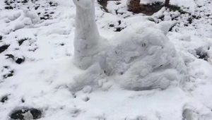 冬天足球场能踢球吗?场地状况、保暖防护与踢球体验全解析