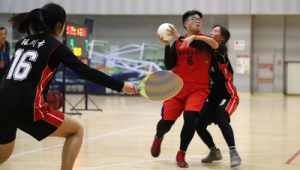 篮球排球足球都是球对吗