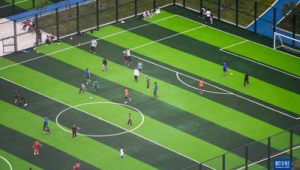 阿里郎足球公园是否有雪？探寻其雪景真相