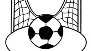 守足球门之人能否反踢?这一疑问引发足球赛场别样思考