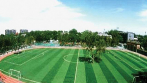 育才中学是否拥有足球场？这一疑问引发关注