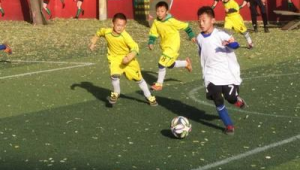 当下哪个足球厉害？全方位剖析热门足球性能与口碑