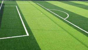 足球场草坪需要护理吗？答案在这里揭晓！