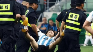 足球比赛中进场是否犯法，背后的法律问题探讨