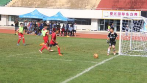 小学是否有必要学足球？探讨足球教育在小学阶段的重要性