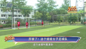 清华大学足球厉害吗？实力究竟如何，引发众人关注与探讨