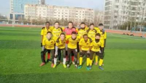 潍坊有哪支职业足球队