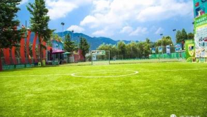 浙江足球球场免费开放吗？一文带你了解球场开放情况