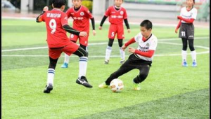 足球真的可以在中国成长吗?探寻其在中国发展的诸多可能性