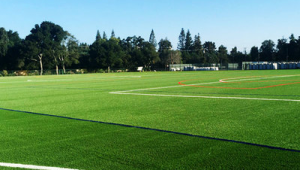 它究竟有多大？能覆盖几个足球场吗？