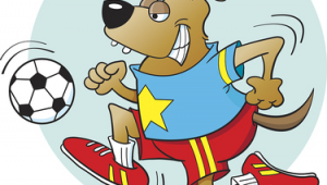 11条狗能踢足球吗？探索狗狗参与足球运动的可能性