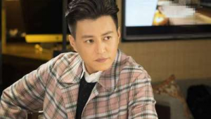 靳东踢足球水平高吗