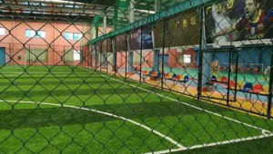 足球后卫需耐力吗？深度剖析其在赛场持久作战的关键要素