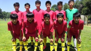 足球小将播出时观看人数多吗