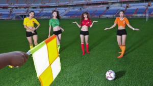 足球比赛边裁能否进球场？规则界限与实际情况探讨