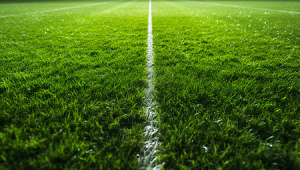 飞盘足球草坪晚上能玩吗？探索夜幕下草坪运动的可行性