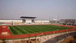 芜湖奥体足球场收费情况揭秘，真相究竟如何？