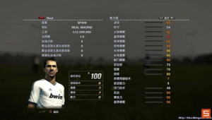 实况足球2013有秘籍吗