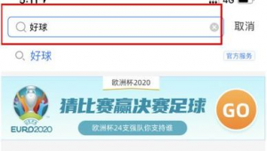 支付宝能否投注足球？这一问题引发关注