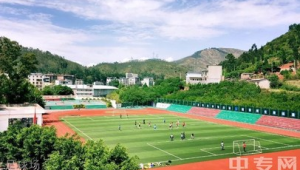 西昌足球场能否进入？答案全揭秘