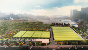 夷陵区足球公园收钱吗?一文带你了解公园收费情况