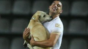 足球看台扔东西是否犯规，规则详解及后果分析