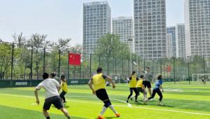 足球场丢盘子违规吗？其安全性又如何？