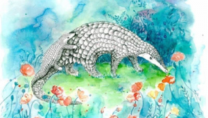 足球场需要白蚁防治吗？探秘白蚁对球场的潜在威胁